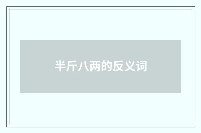 半斤八两的反义词