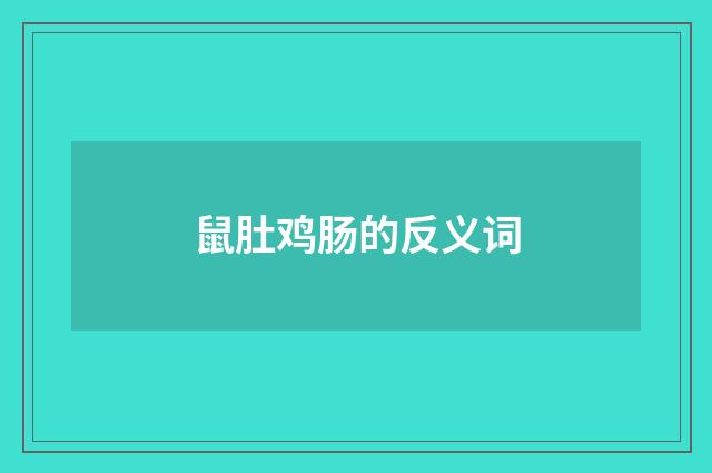 鼠肚鸡肠的反义词