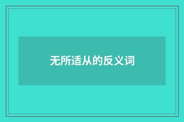 无所适从的反义词