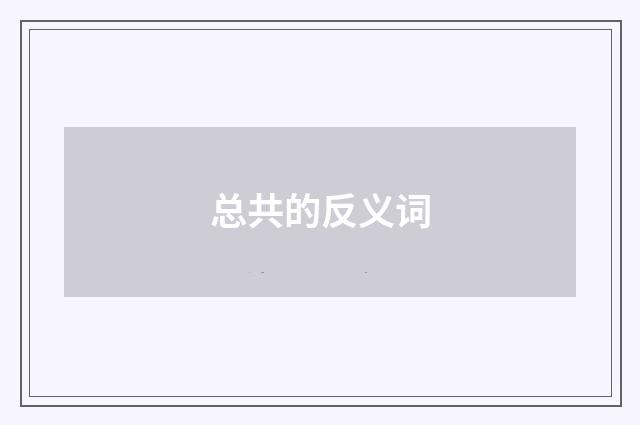 总共的反义词