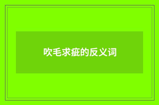 吹毛求疵的反义词
