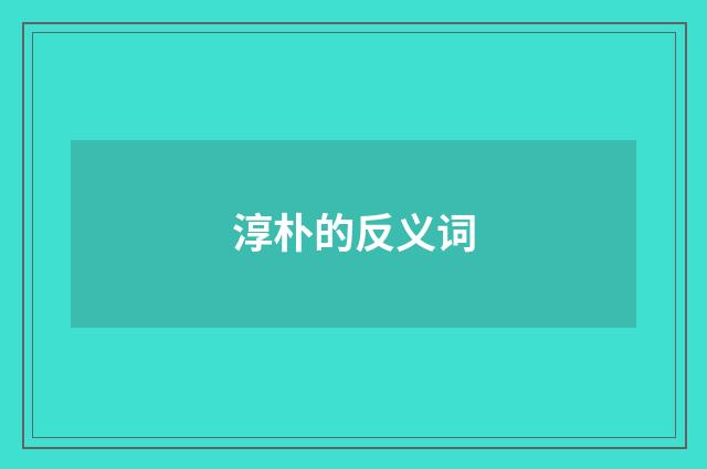 淳朴的反义词