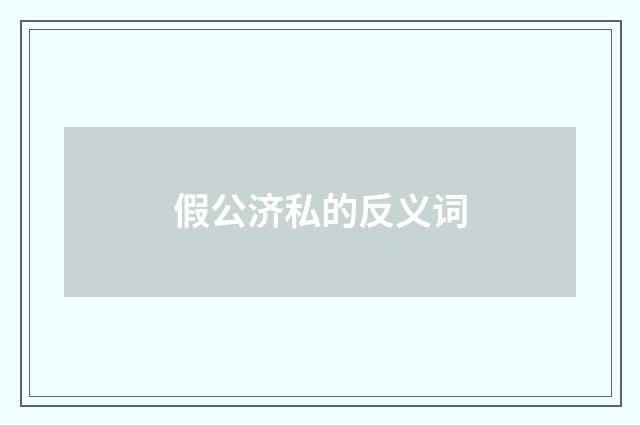 假公济私的反义词