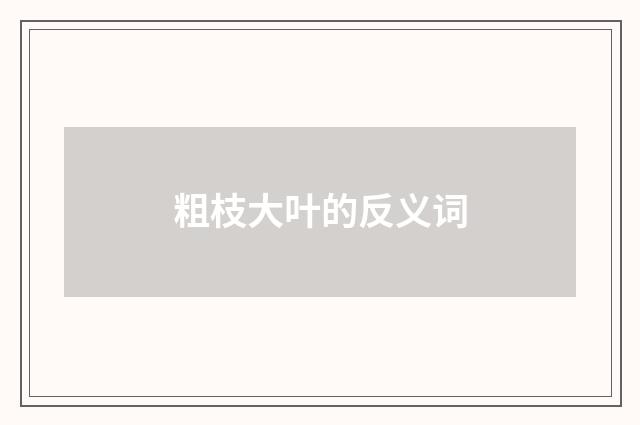 粗枝大叶的反义词