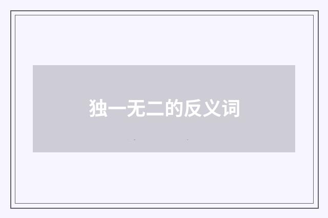 独一无二的反义词