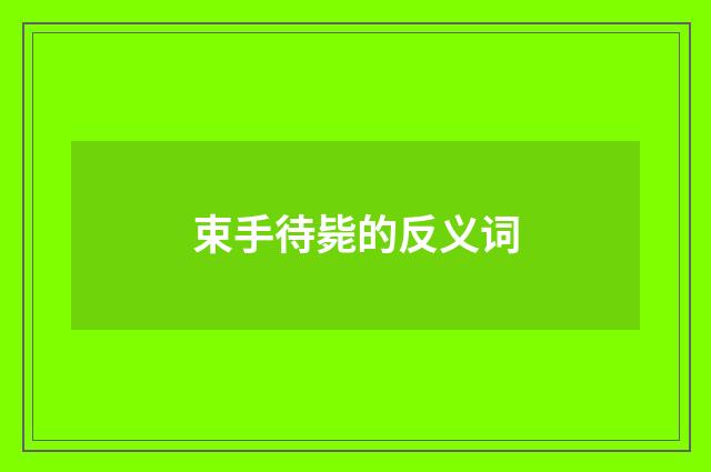 束手待毙的反义词