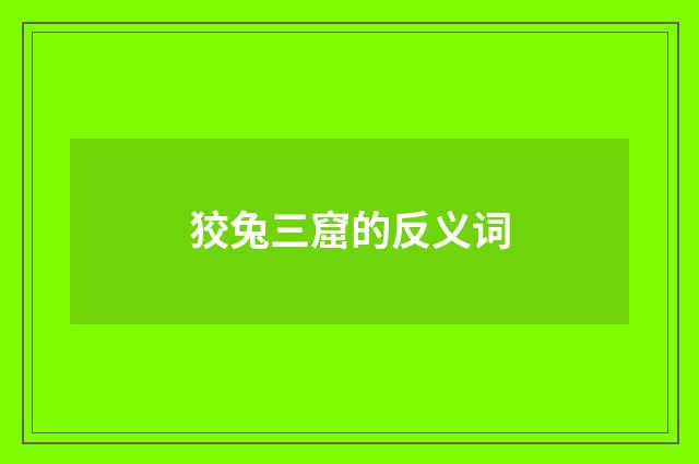 狡兔三窟的反义词