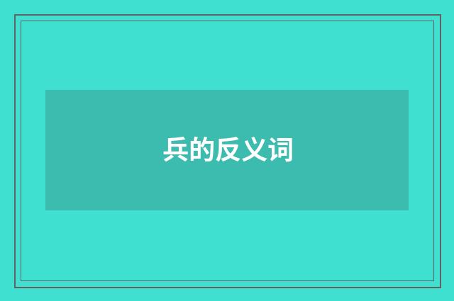 兵的反义词