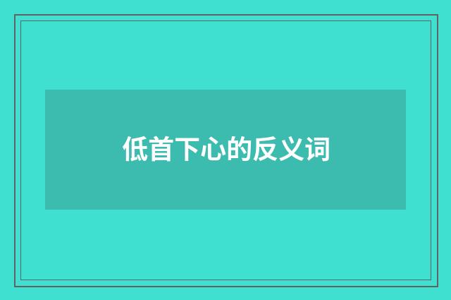 低首下心的反义词