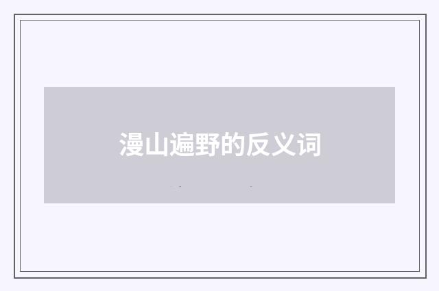漫山遍野的反义词