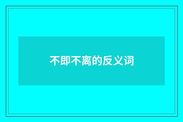 不即不离的反义词