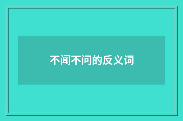 不闻不问的反义词